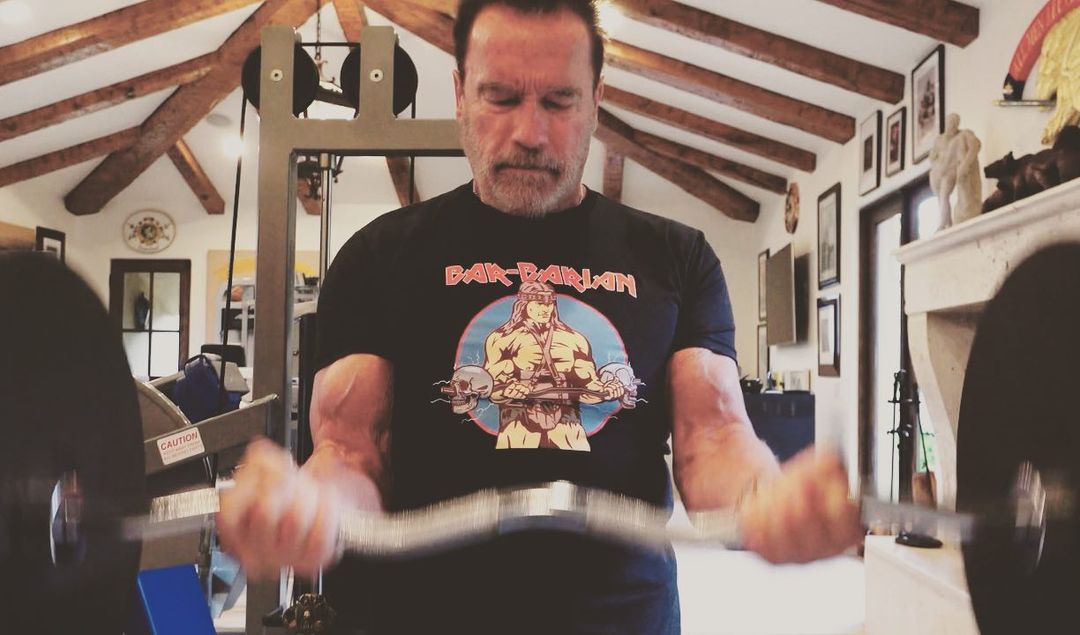 Schwarzenegger, Hamilton, Đoković