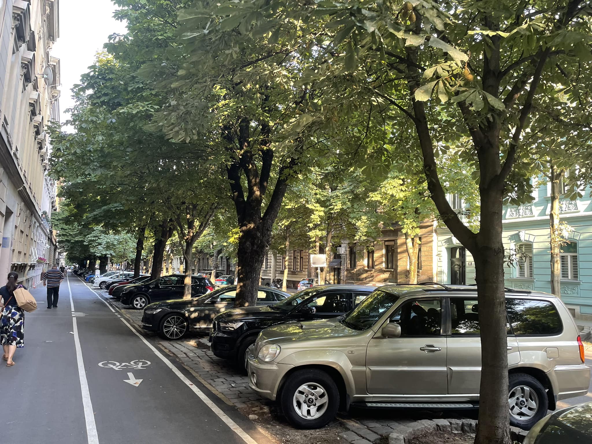 Zagrebačka ulica koja je najbolji primjer zašto moramo više saditi stabla