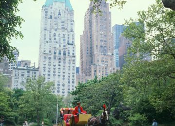 A6DF1D Horse and carriage at Central Park New York City