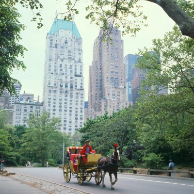 A6DF1D Horse and carriage at Central Park New York City