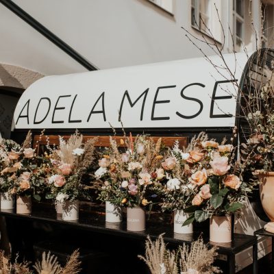 Adela Mese - Spring Fling