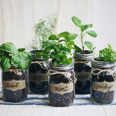 DIY-Mason-Jar-Fresh-Herb-Garden