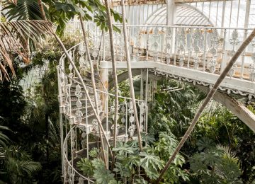 Experience the Steamy Rainforest at Kew Gardens_