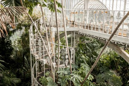 Experience the Steamy Rainforest at Kew Gardens_