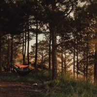 Robinzonski kamp na Mrežnici – veliki potencijal za pravi eko turizam