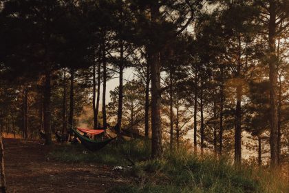 Robinzonski kamp na Mrežnici – veliki potencijal za pravi eko turizam
