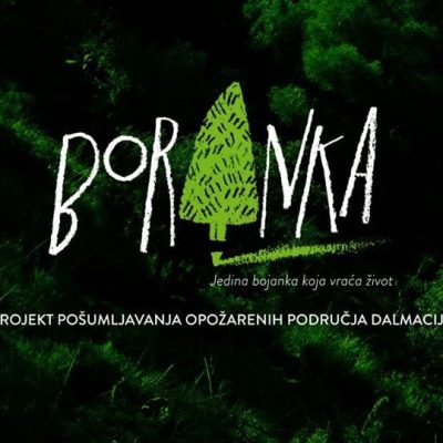 Boranka