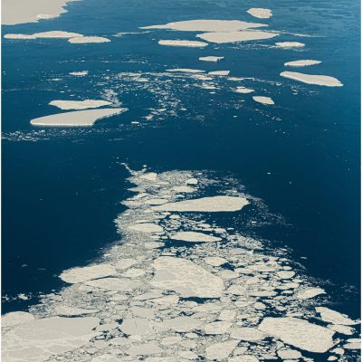 arktik bez leda naslovna