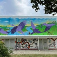 mural_europska_amazona_u_koprivnici