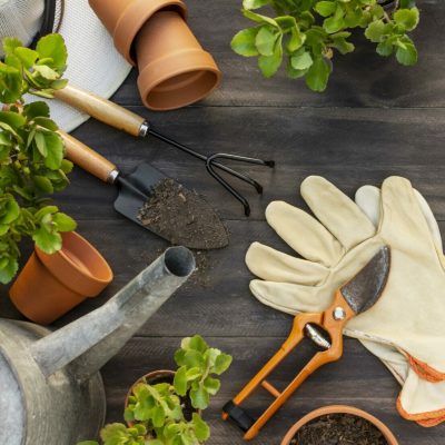 plants-gardening-tools-close-up