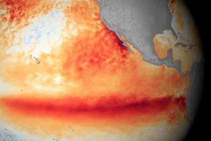 El Nino sea temperatures, October 2015. Satellite sea surface temperature (SST) anomaly data for the eastern Pacific for the month of October 2015. Orange-red colours are above-normal temperatures (blue is below normal). This is one of the top three El Ninos since 1950. El Nino is the warm phase of the El Nino/La Nina-Southern Oscillation (ENSO) that occurs across the tropical Pacific Ocean roughly every five years. The ENSO affects weather systems across the world, bringing extreme weather such as floods and droughts. El Nino generally causes drier conditions in Australia and South-East Asia, and wetter and warmer conditions in the Americas.,Image: 268081339, License: Rights-managed, Restrictions: This image may not be used to state or imply NOAA endorsement of any company or product, Model Release: no