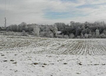 Christmas in the countryside,hoarfrost and snow,Croatia,Europe,4
