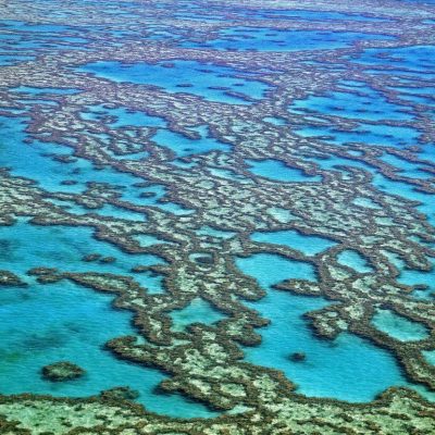 Riffe und Atolle des Great Barrier Reef, Australien,Image: 319060074, License: Rights-managed, Restrictions: , Model Release: no
