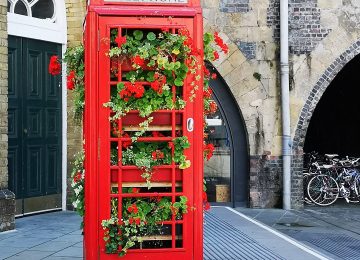 telephone-box-with-flowers-g2dfcbc7fa_1920